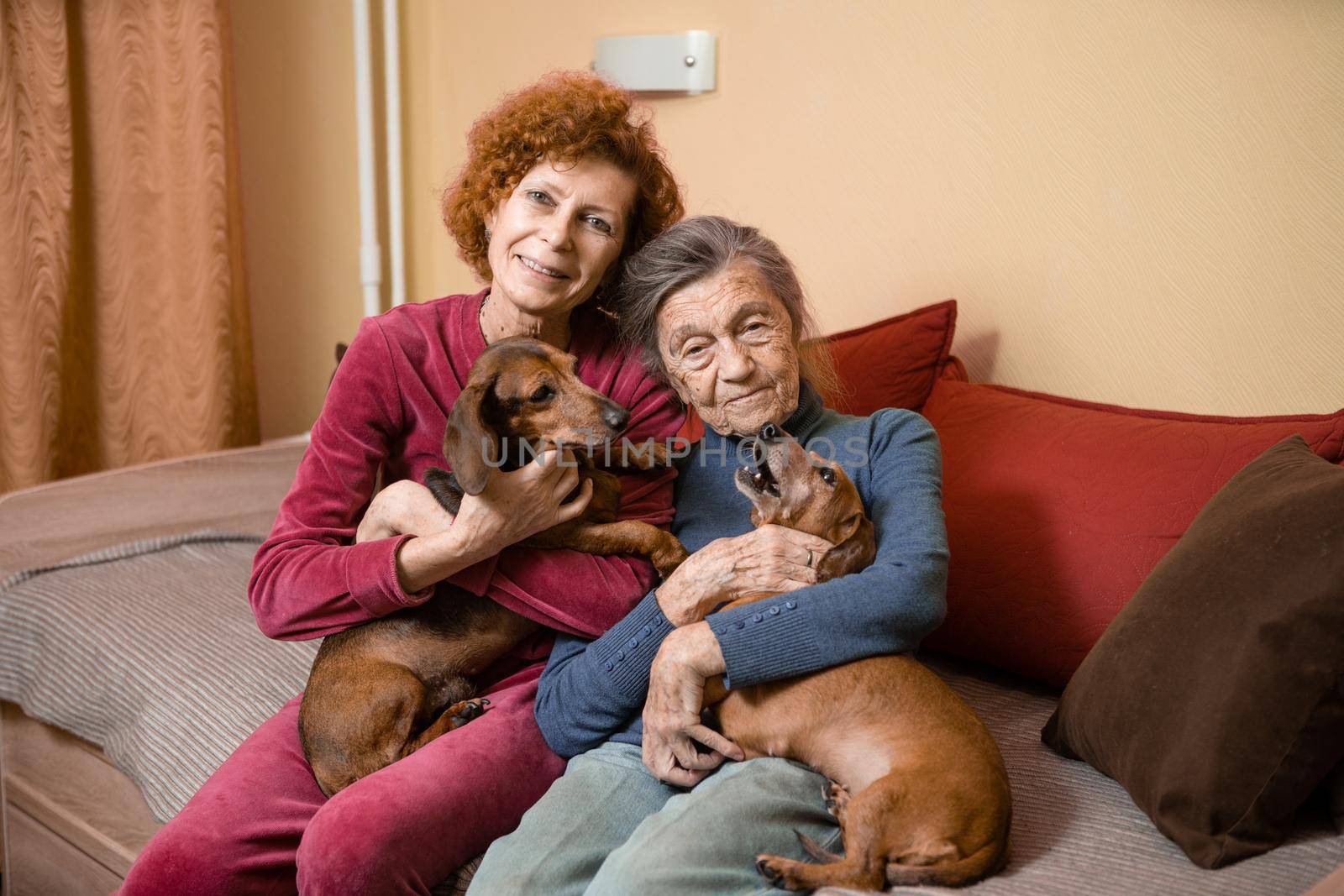 The theme is animal therapy, caring for elderly with dementia and Alzheimer's disease. Adult women spend time with elderly mother and pets dogs to bring joy and pleasure, affection for loved ones.