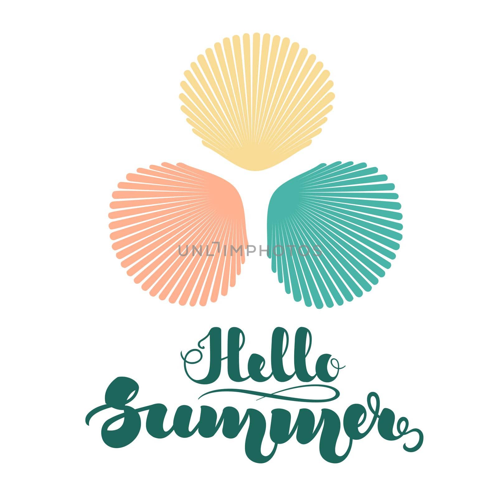 Colorful sea shells in flat style and handwritten lettering Hello Summer . illustration isolated on white background. .