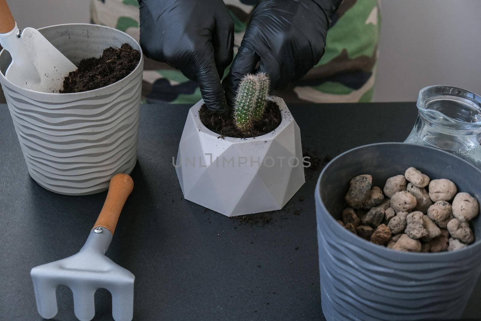 Close-up shot of female hands holding cactus. Home garden concept. Gardening tools. Gardener's workplace. Earth in a bucket. Taking care of plants. Home spring planting