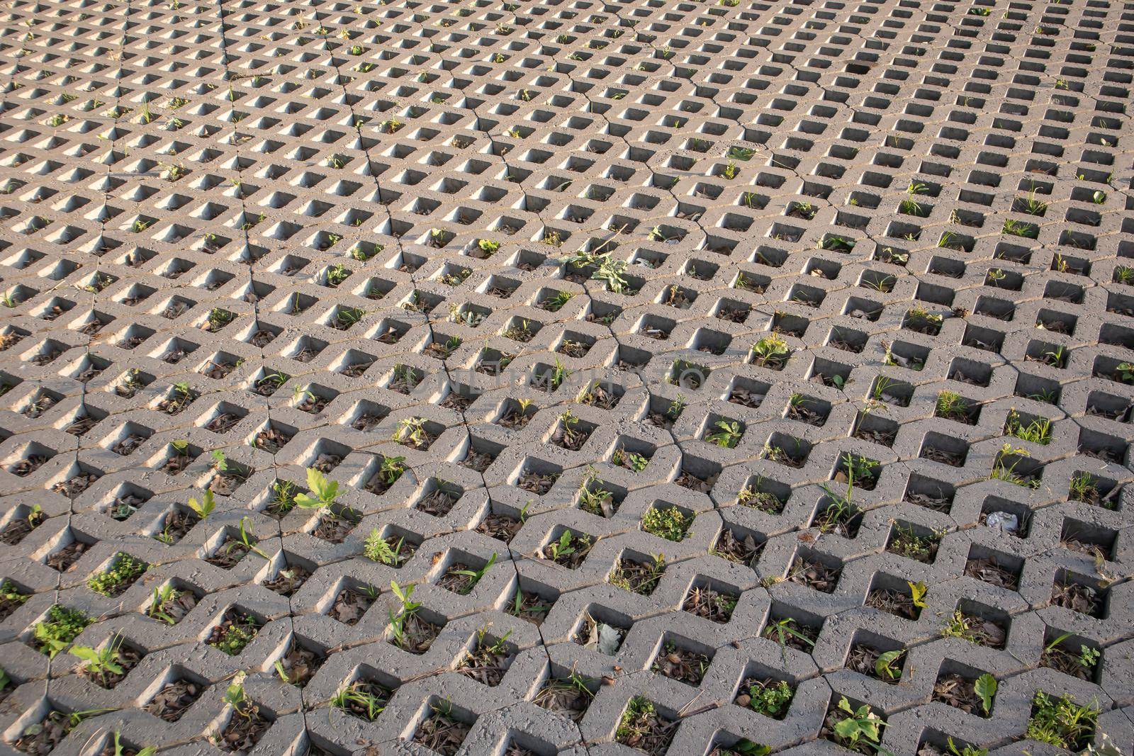 Background from paving slabs with grass sprouting through them. Stone tiles on the sidewalk. Footpath. Textured patterned background. Eco-friendly covering - concrete lawn grating