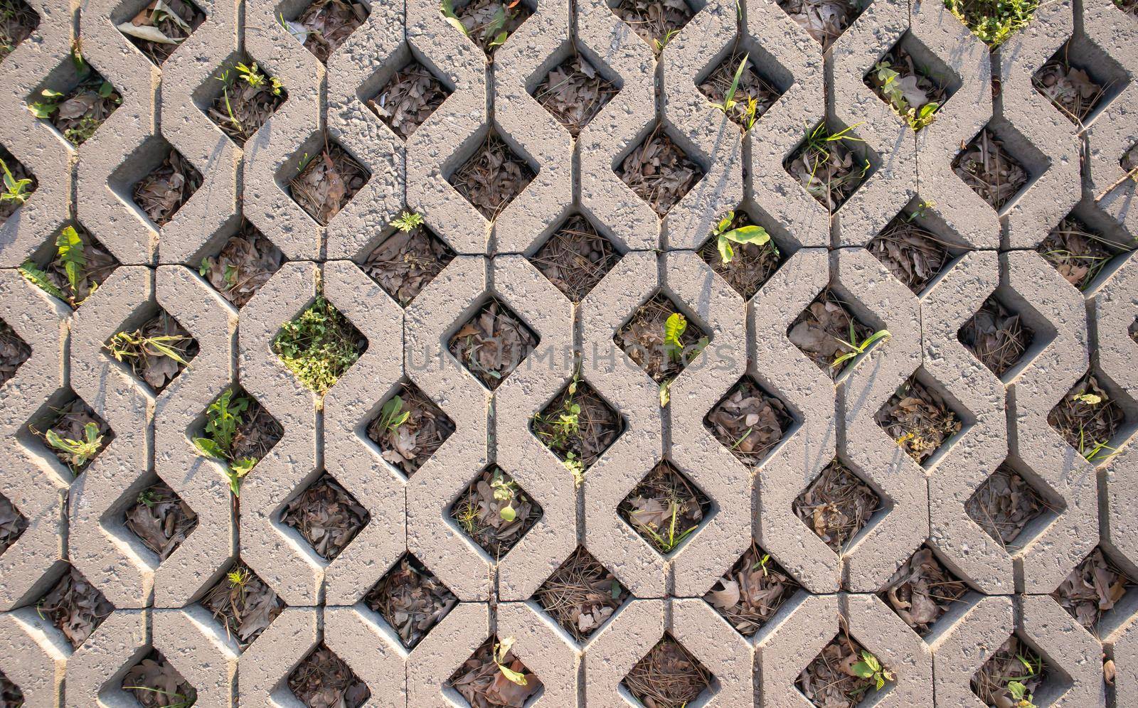 Background from paving slabs with grass sprouting through them. Stone tiles on the sidewalk. Footpath. Textured patterned background. Eco-friendly covering - concrete lawn grating