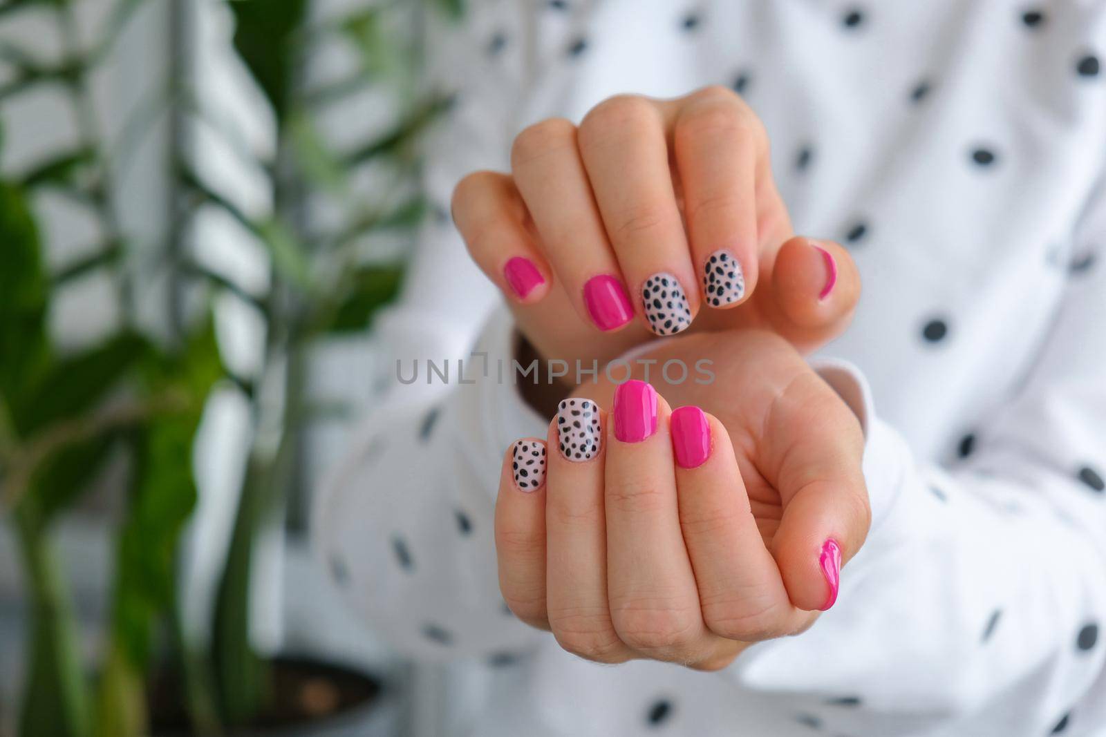 Manicured female hands with stylish pink nails and design. Trendy modern design manicure. Gel nails. Skin care. Beauty treatment. Nail care. Trendy colors by anna_stasiia