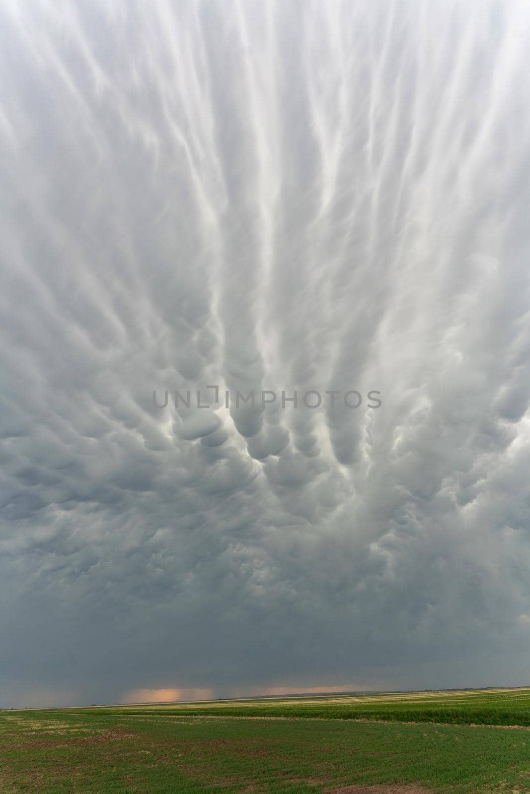 Prairie Storm Clouds in Saskatchewan Canada Rural