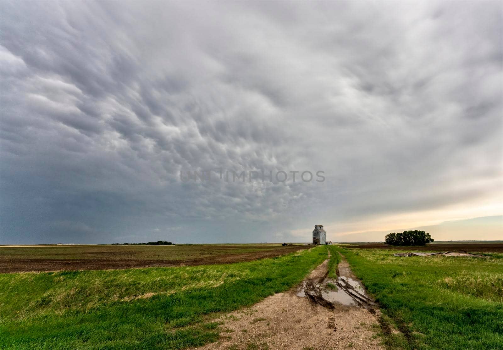 Prairie Storm Clouds in Saskatchewan Canada Rural
