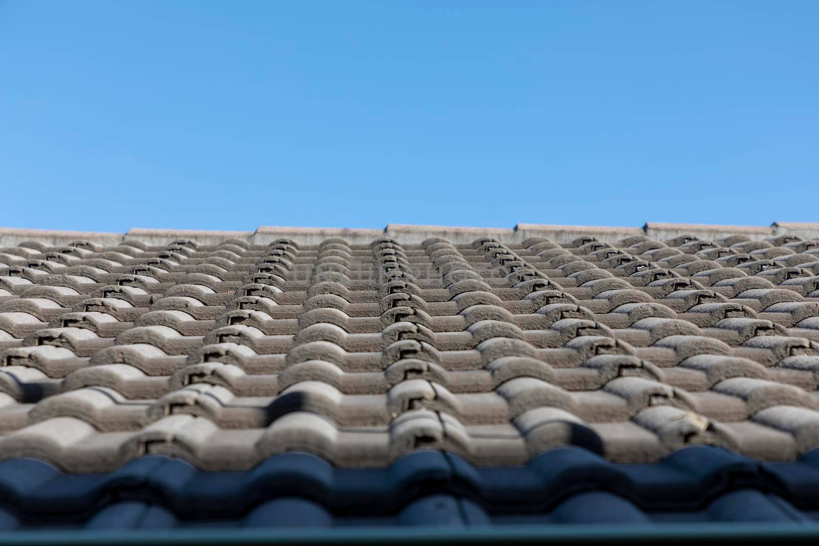 Grey terracotta roof tiles in a line on a roof by WittkePhotos