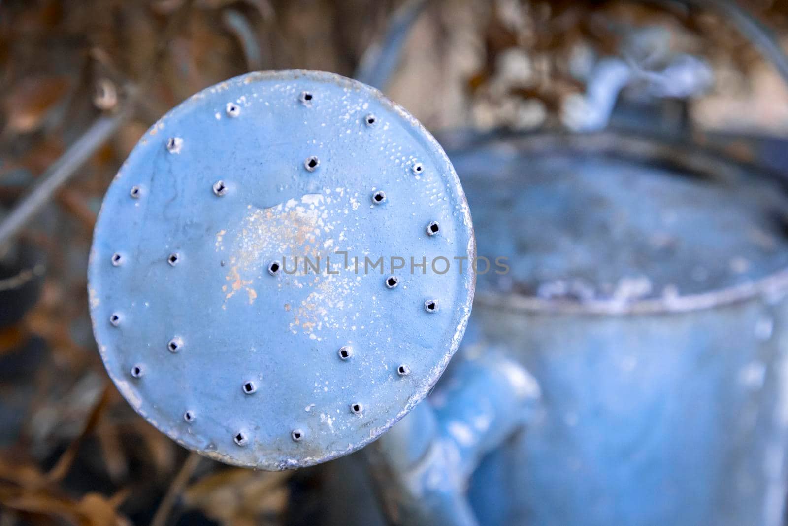 An old watering can on a table in a garden by WittkePhotos