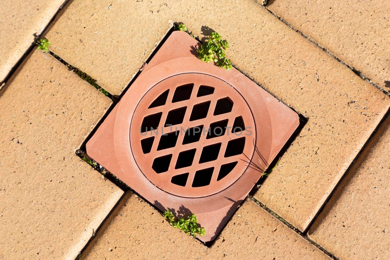 A stormwater drain cover inserted in brown paving stones by WittkePhotos