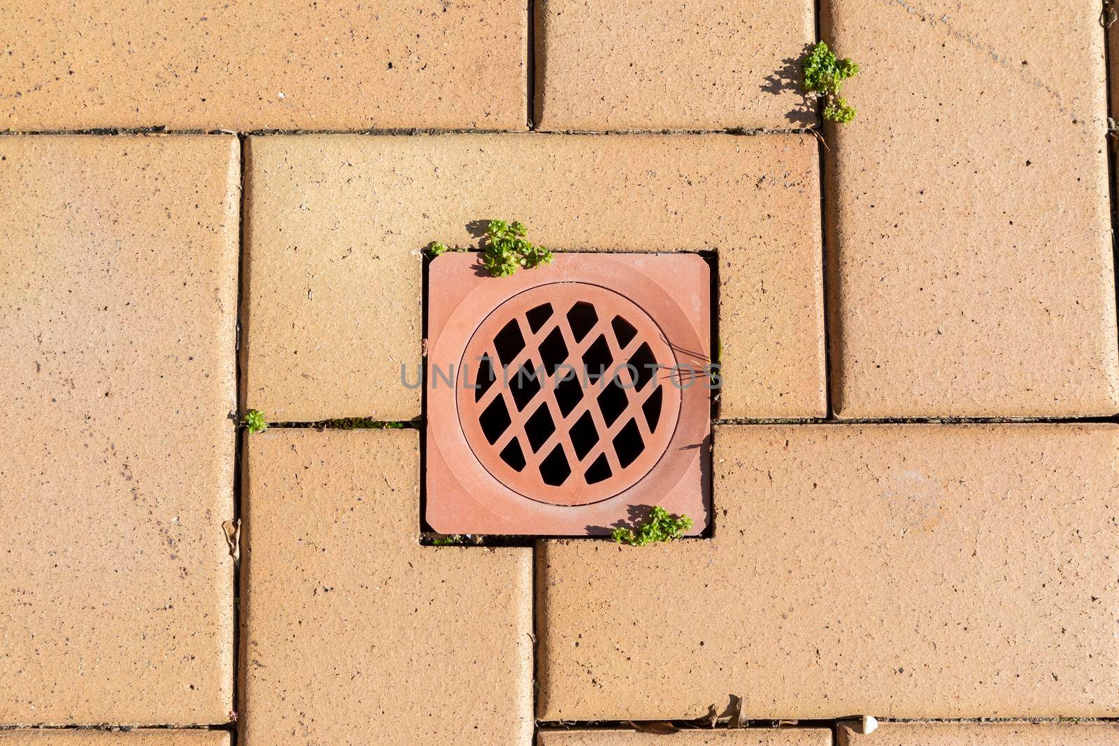 A stormwater drain cover inserted in brown paving stones near a swimming pool