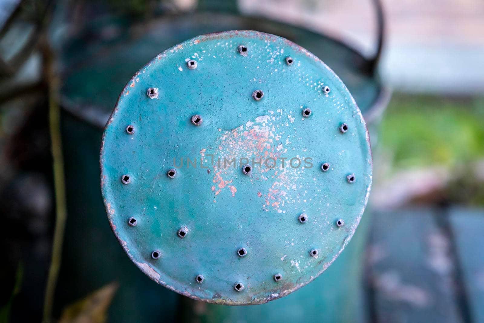 An old watering can on a table in a garden by WittkePhotos