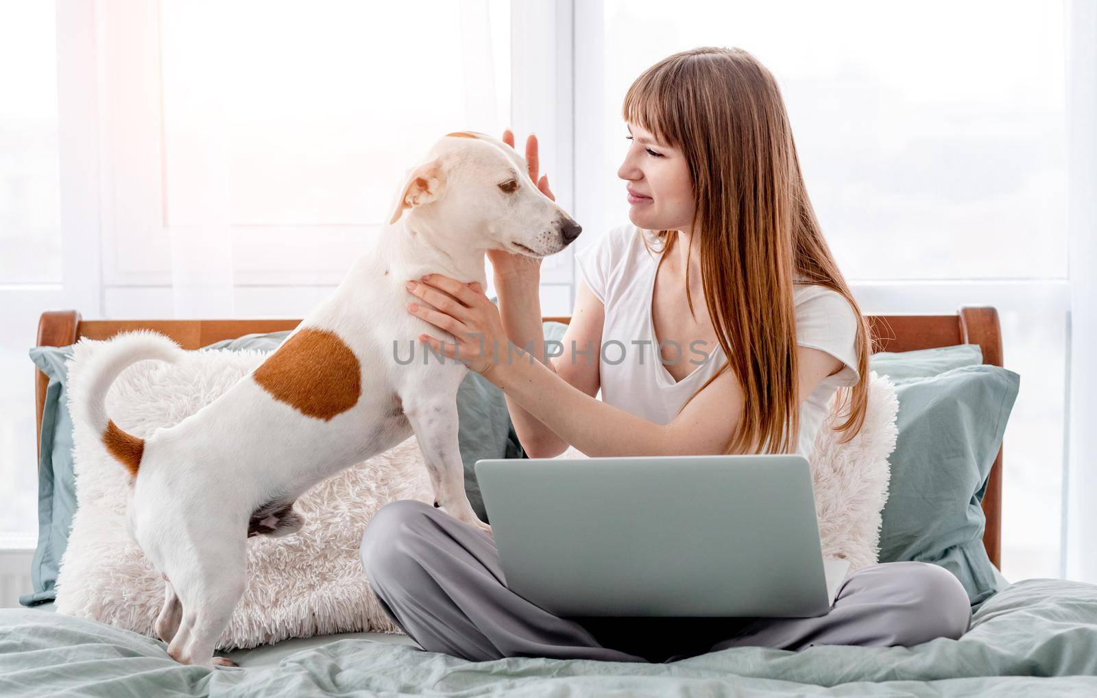 Attractive girl sitting in the bed with grey laptop and petting her cute dog. Young beautiful woman with pet and notebook in morning time in the bedroom. Concept of remote work from home