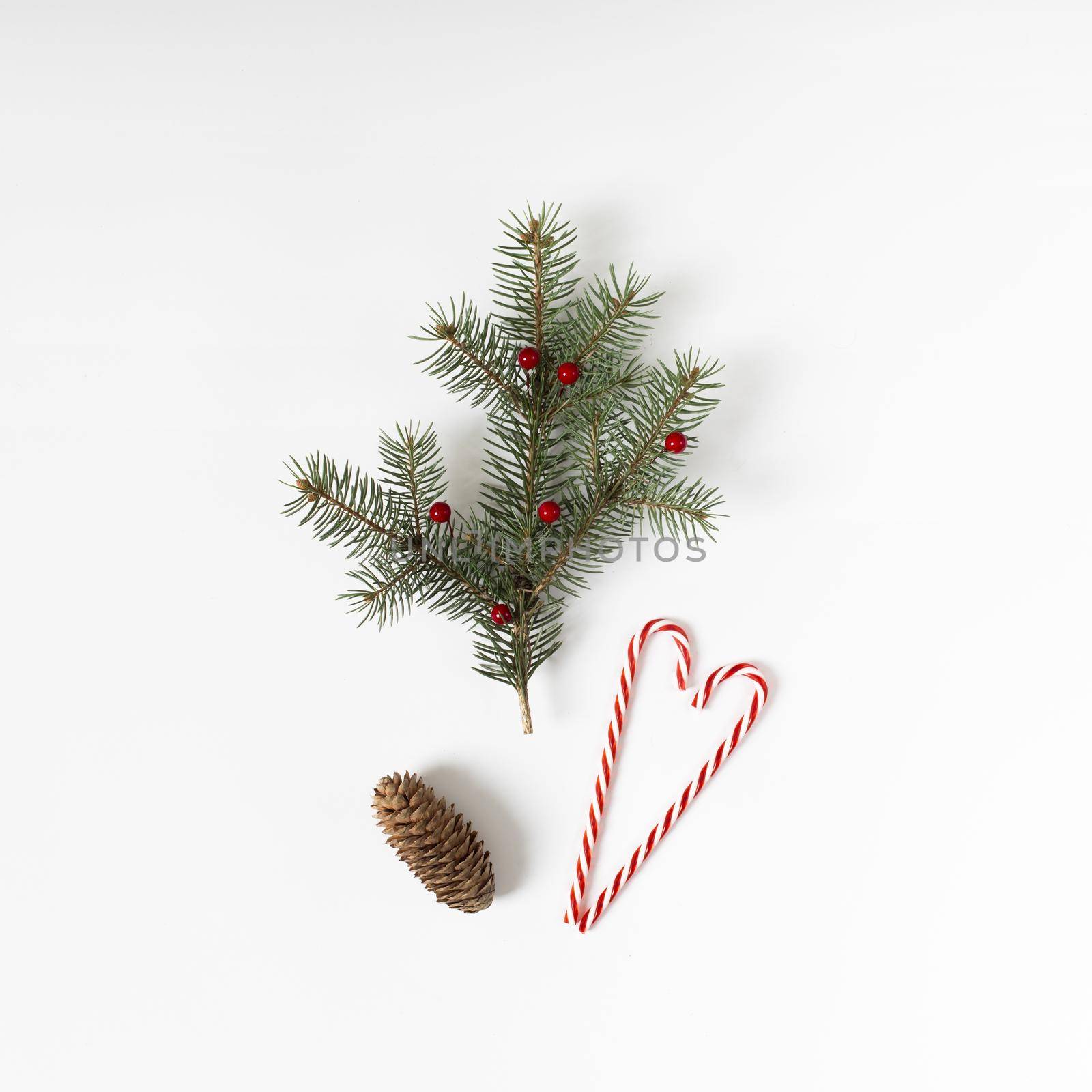 fir tree branch with candy cane cone by Zahard