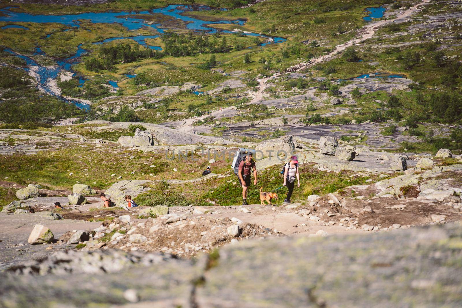 July 26, 2019. Norway. hikers with dogs on the Trolltunga. Dog hiking in Norway. hiking, trekking, lifestyle with pet Norway concept. Hikers with dogs in mountain. Man with dog on the trip in the mountains.