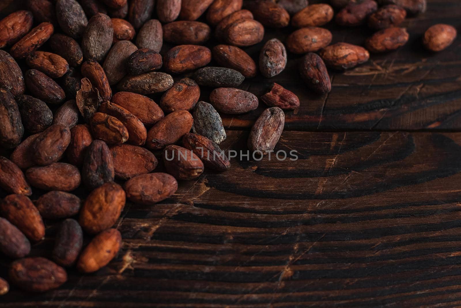 Raw cocoa beans two types Venezuela on brown background.