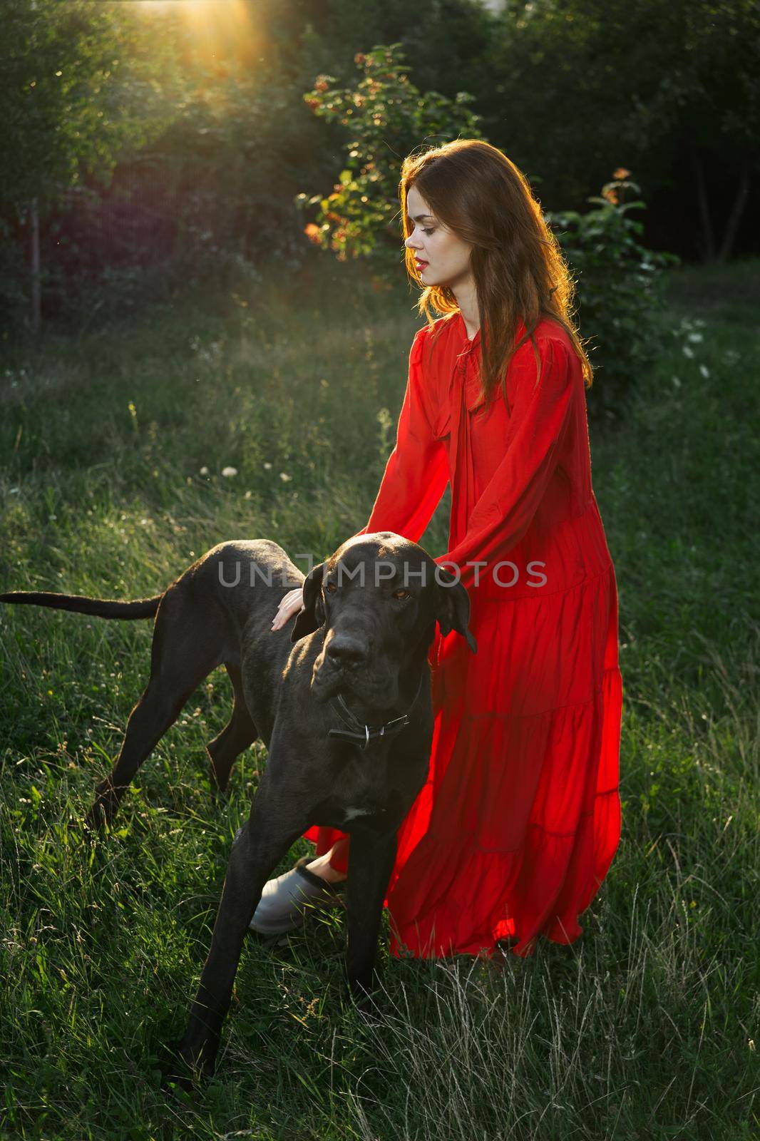 woman in a red dress in a field with a black dog Friendship fun by Vichizh