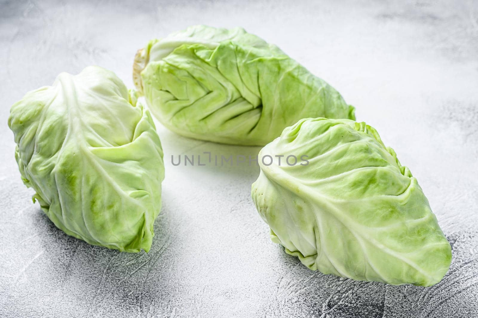 Raw Pointed white cabbage head. White background. Top view by Composter