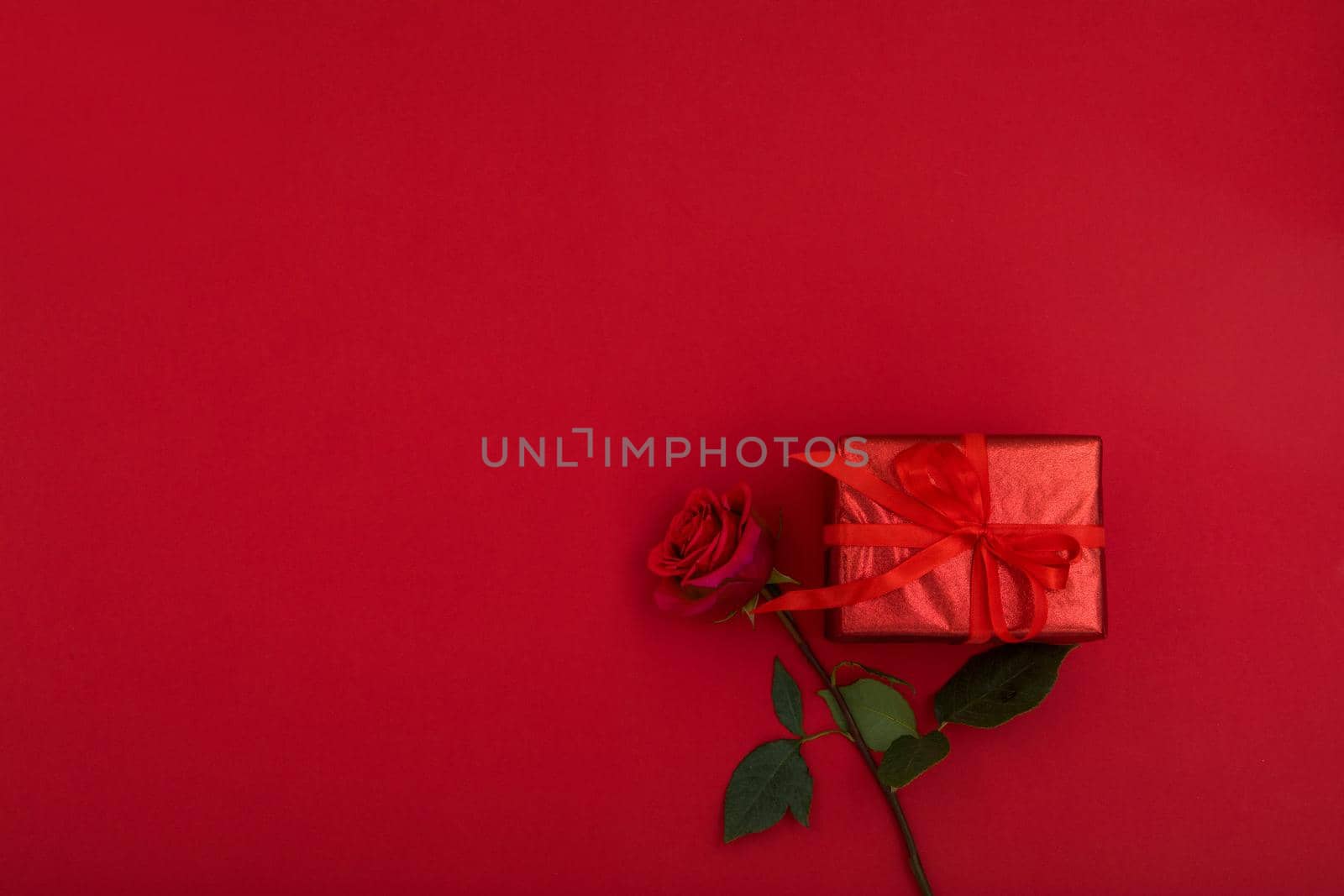 Top view of small present box wrapped in red paper with ribbon placed near blooming rose on bright red background with blank space for romantic