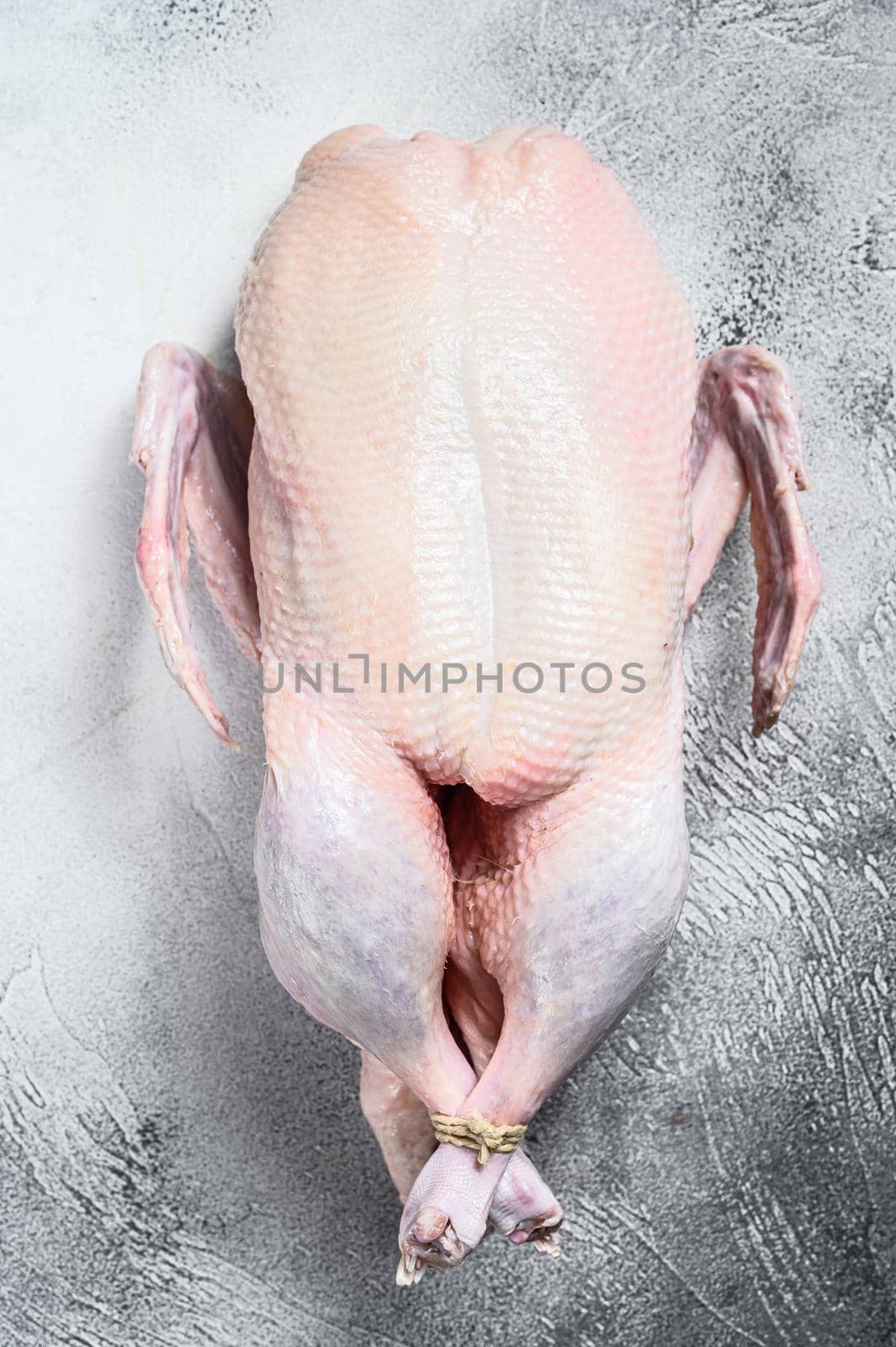 Raw whole duck, poultry meat. White background. Top view.