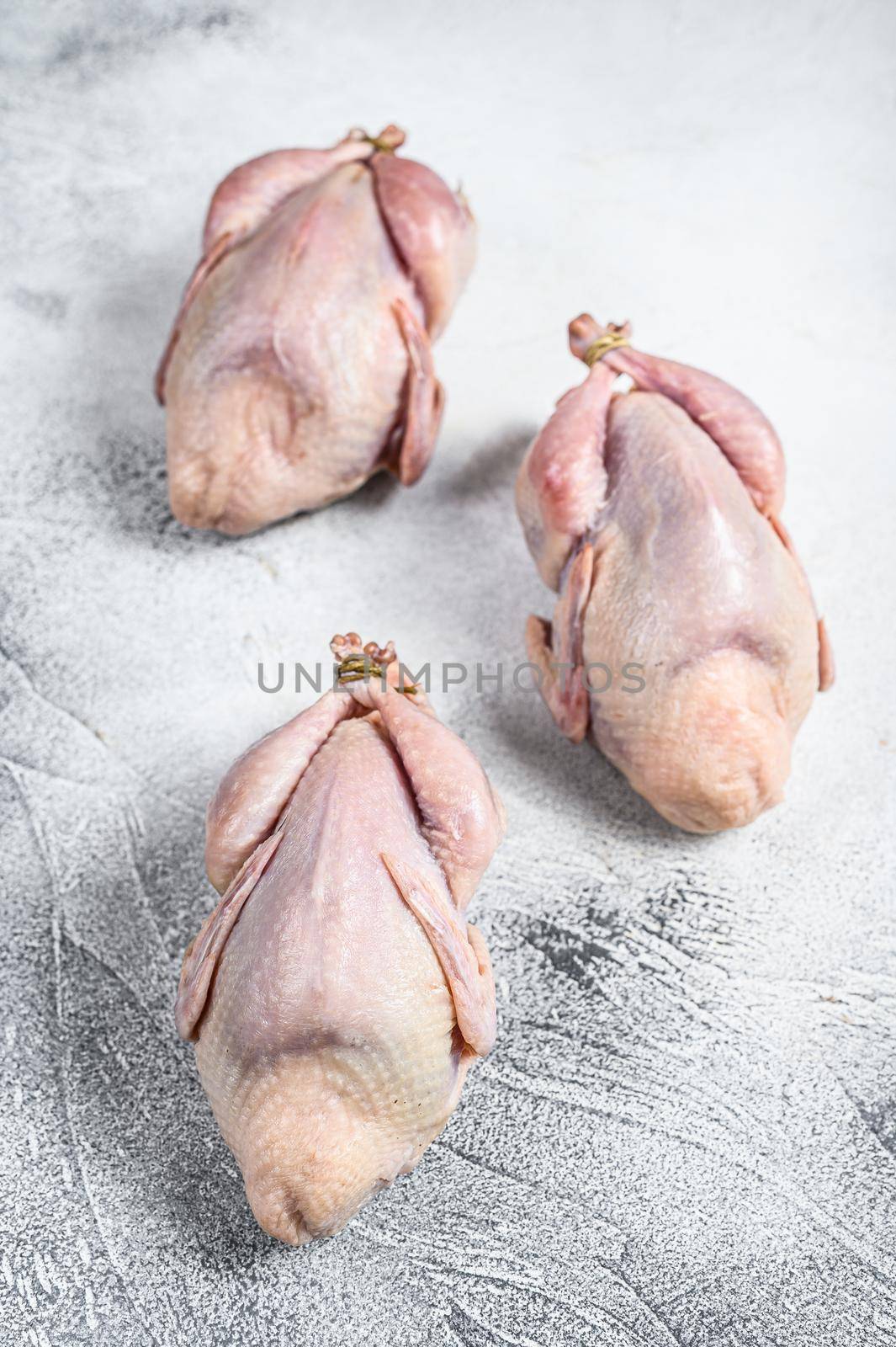 Raw quails on a kitchen table. White background. Top view by Composter