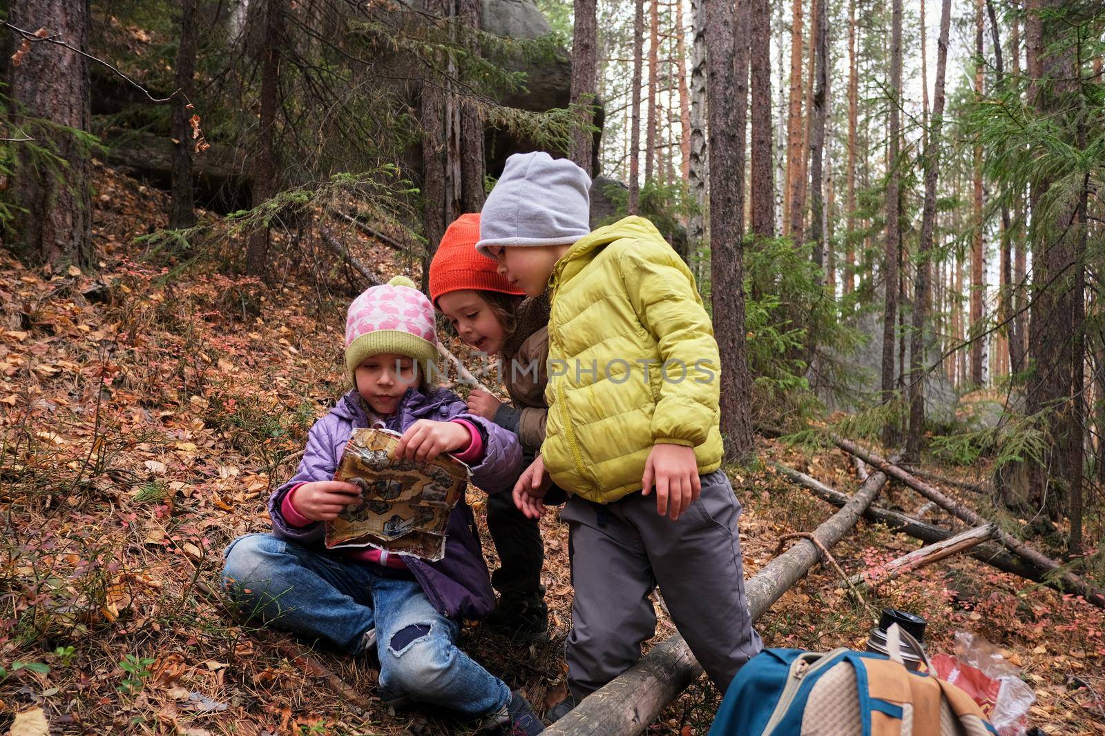 Group of children in warm outerwear examining map while sitting in woods on fallen leaves during camping in autumn nature
