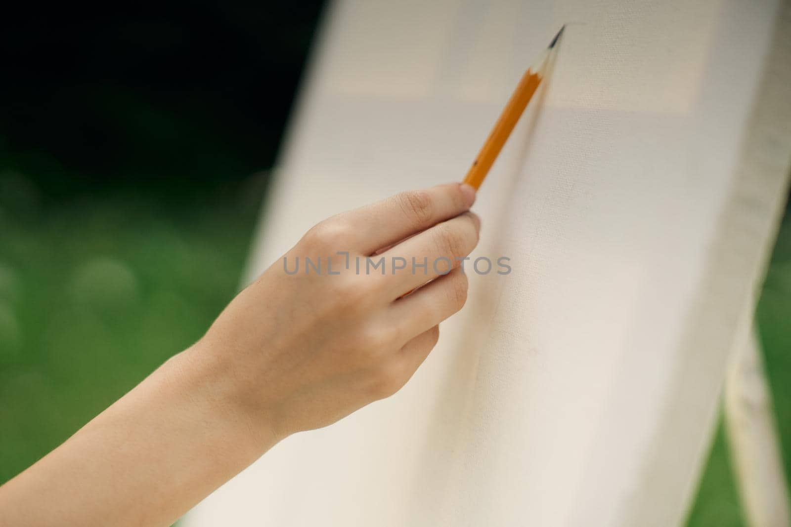 pencil easel drawing art creative nature lifestyle. High quality photo