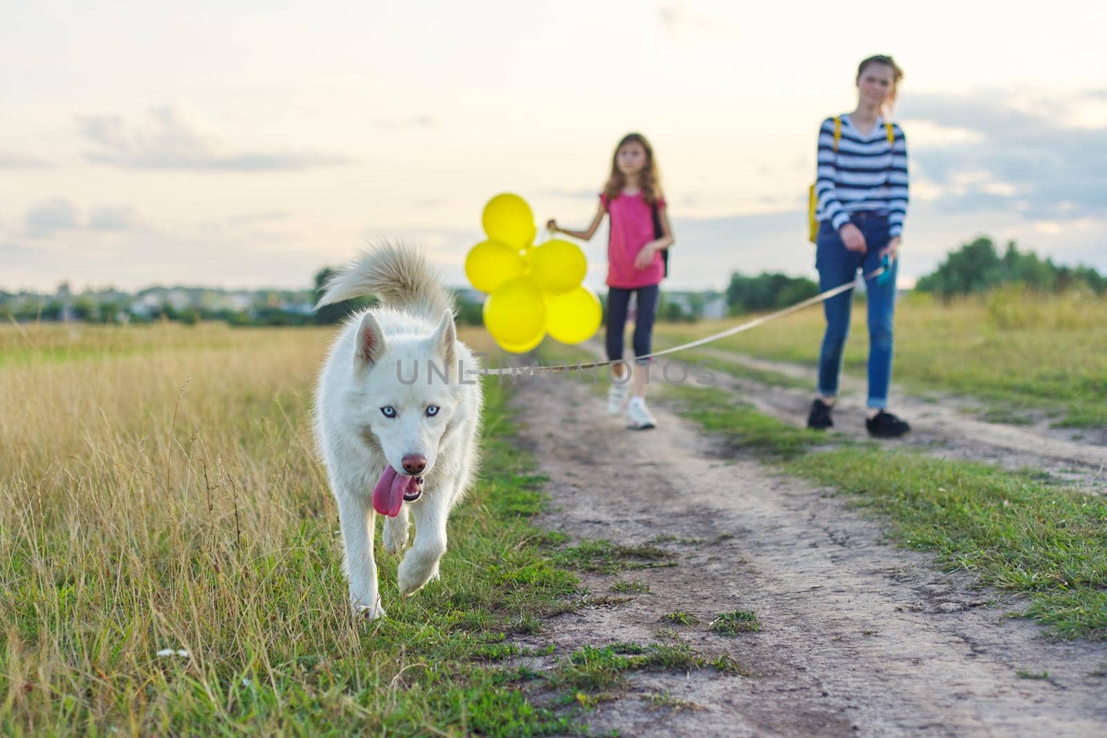 Children walking with dog in nature, girls with pet on country road on sunny summer day, child with yellow balloons