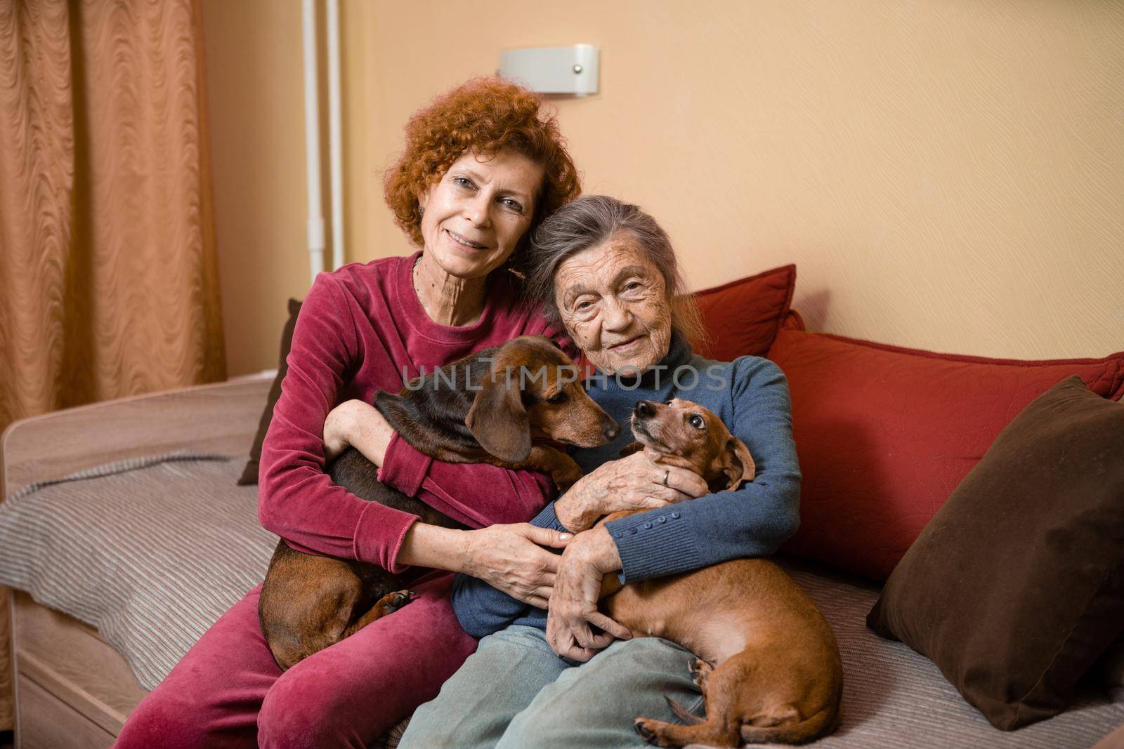 Elder woman and her adult daughter together with two dachshund dogs on sofa indoors spend time happily, portrait. Theme of mother and daughter relationship, taking care of parents, family care.