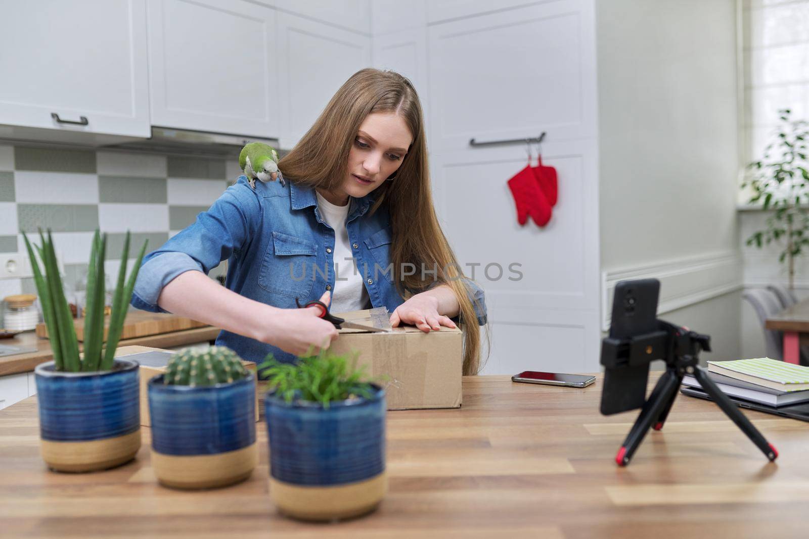 Woman recording video on smartphone unpacking cardboard box. Pet parrot helping to unpack by VH-studio