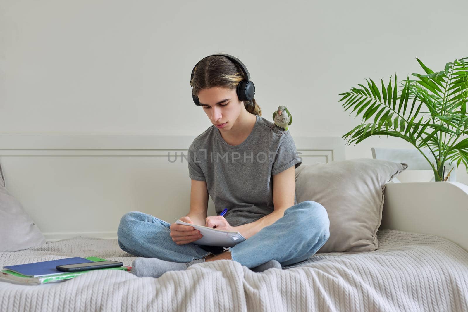 Male teenager with pet green parrot on his shoulder, with textbooks by VH-studio