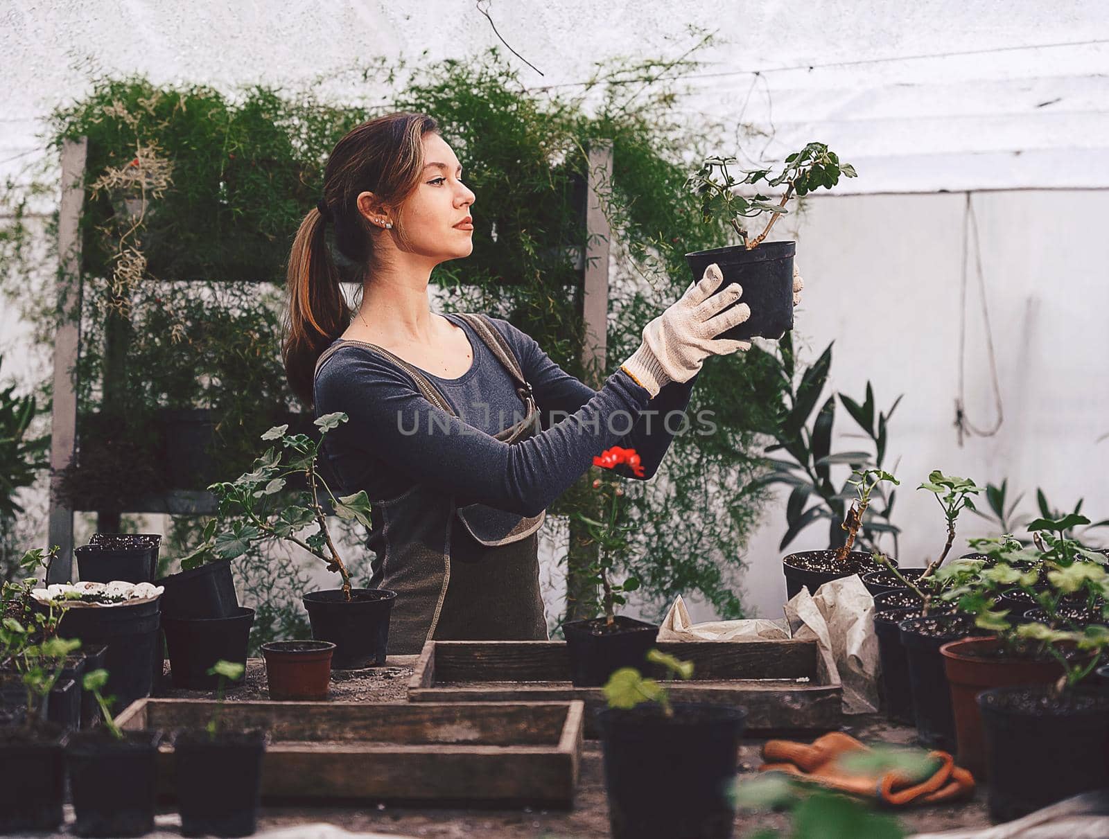 girl working in the garden with seedlings in pots