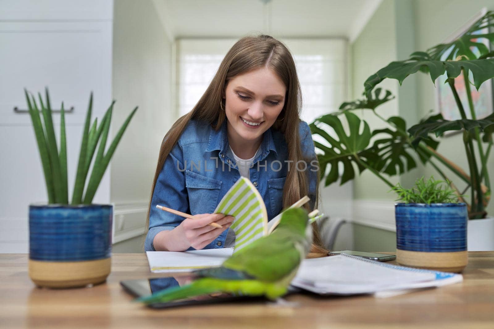 Young female university student studying online using video communication by VH-studio