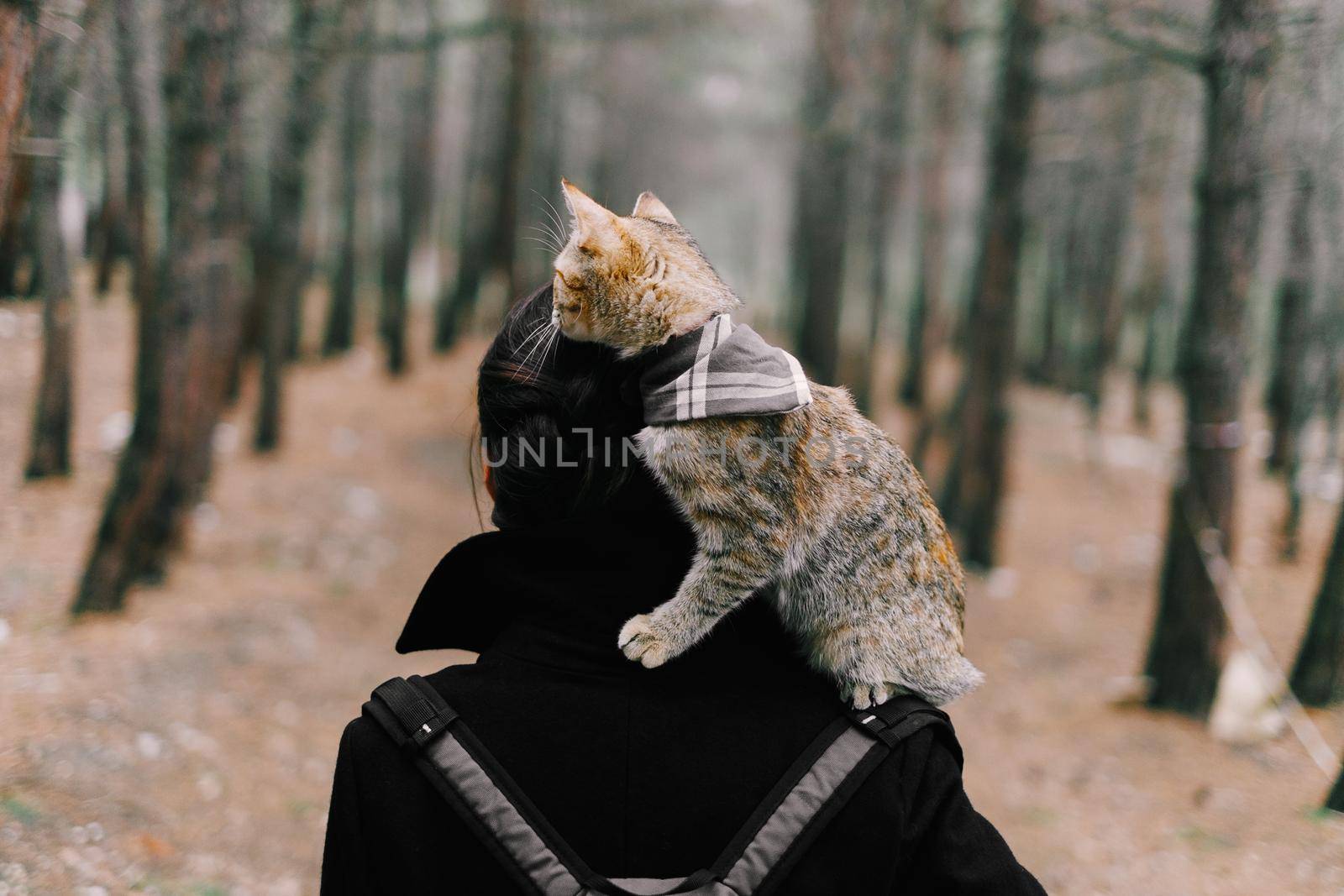 Unrecognizable woman with cute cat on her shoulder walking in the forest, rear view.