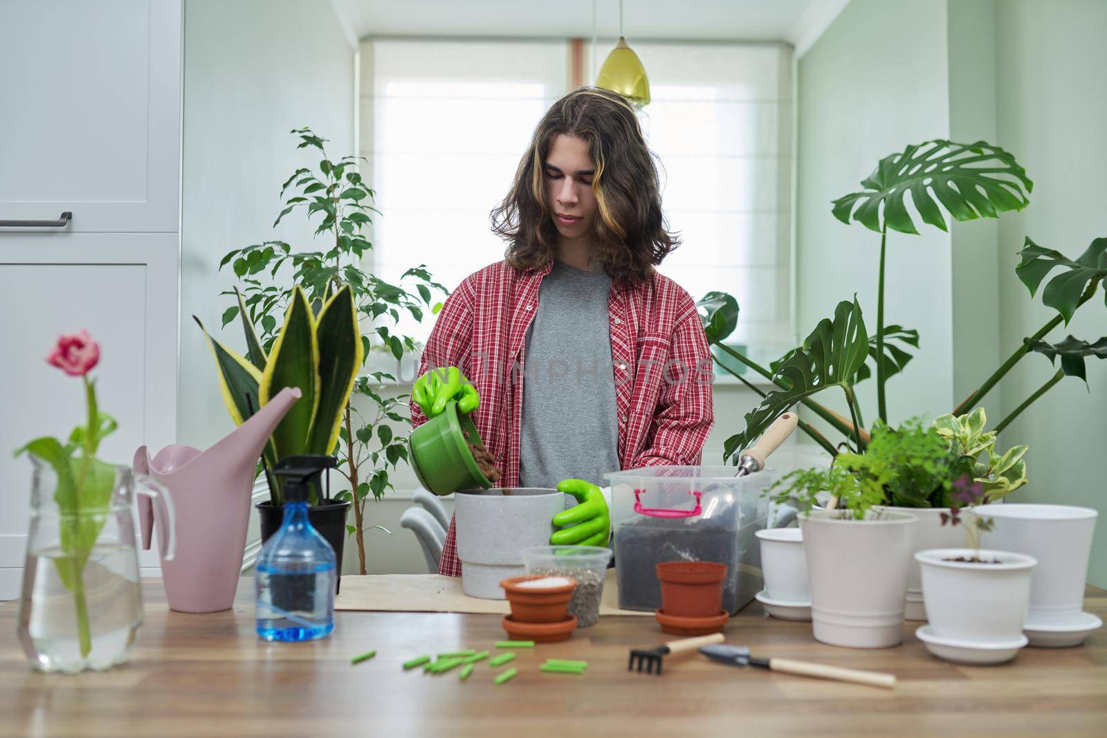 Green eco hobby of young male, teenager showing plant, soil, expanded clay, soil additives perlite vermiculite at camera, recording video for plant vlog blog. Eco green trends, modern city apartments