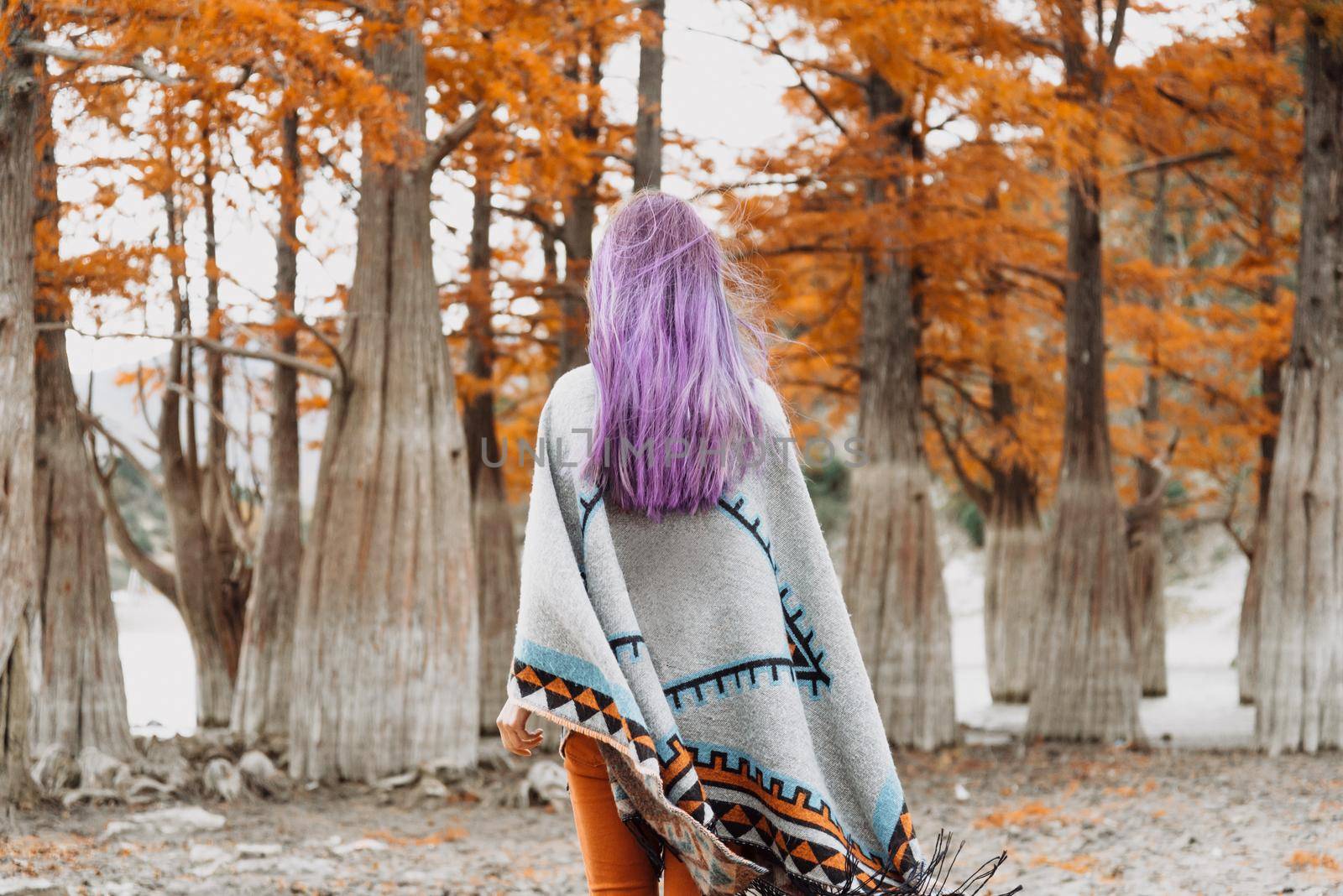 Unrecognizable young woman with violet hair wearing in poncho walking in autumn park.