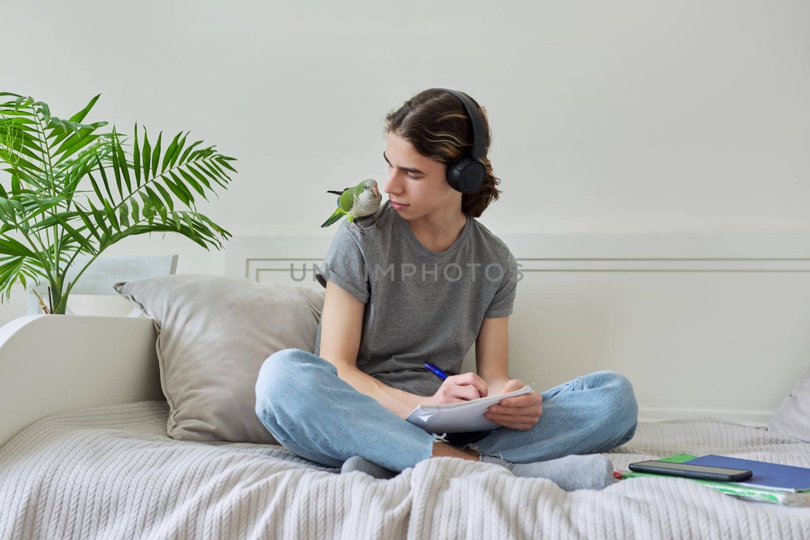 Male teenager with pet green parrot quaker on his shoulder, guy student sitting in headphones with textbooks notebooks books at home on bed