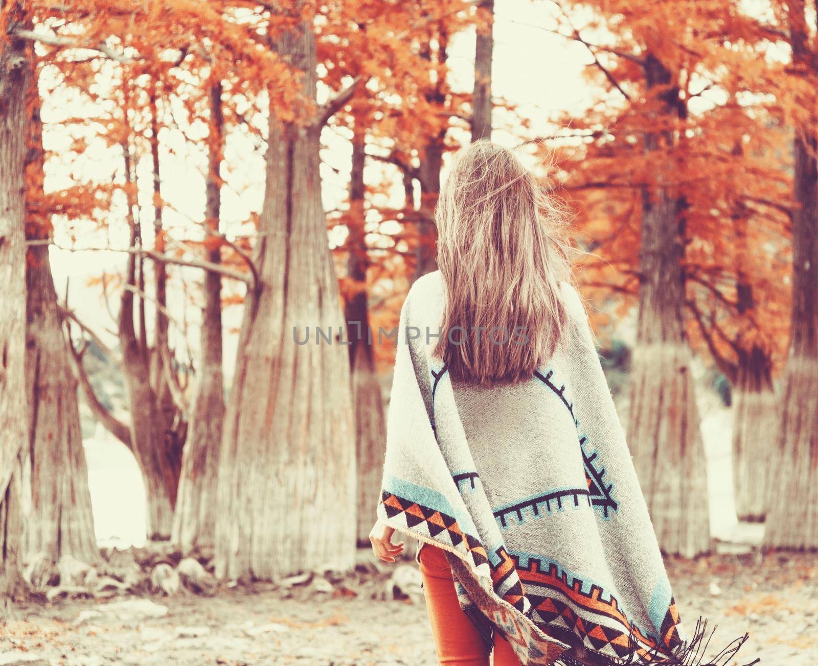 Woman walking among autumn cypresses. by alexAleksei