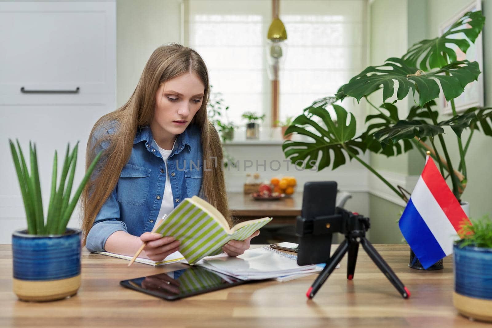 Young female university student sitting at home studying online, looking at smartphone webcam. On table flag of Netherlands, education in Holland, e-education, e-learning, technology, knowledge