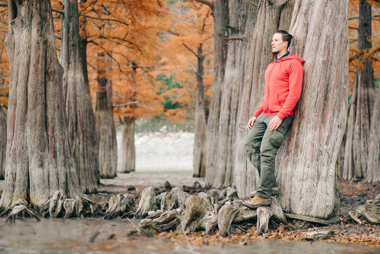 Handsome young man walking in autumn park among cypresses trees.