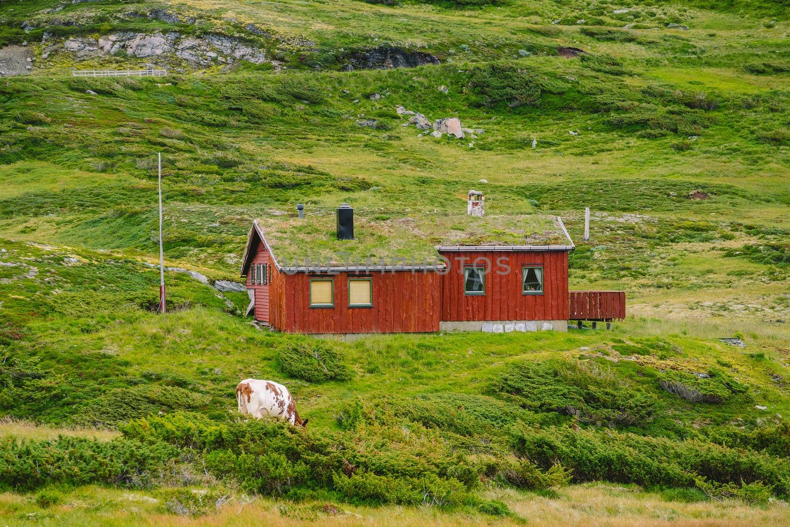 hut wooden mountain huts in mountain pass Norway. Norwegian landscape with typical scandinavian grass roof houses. Mountain village with small houses and wooden cabins with grass on roof in valley.