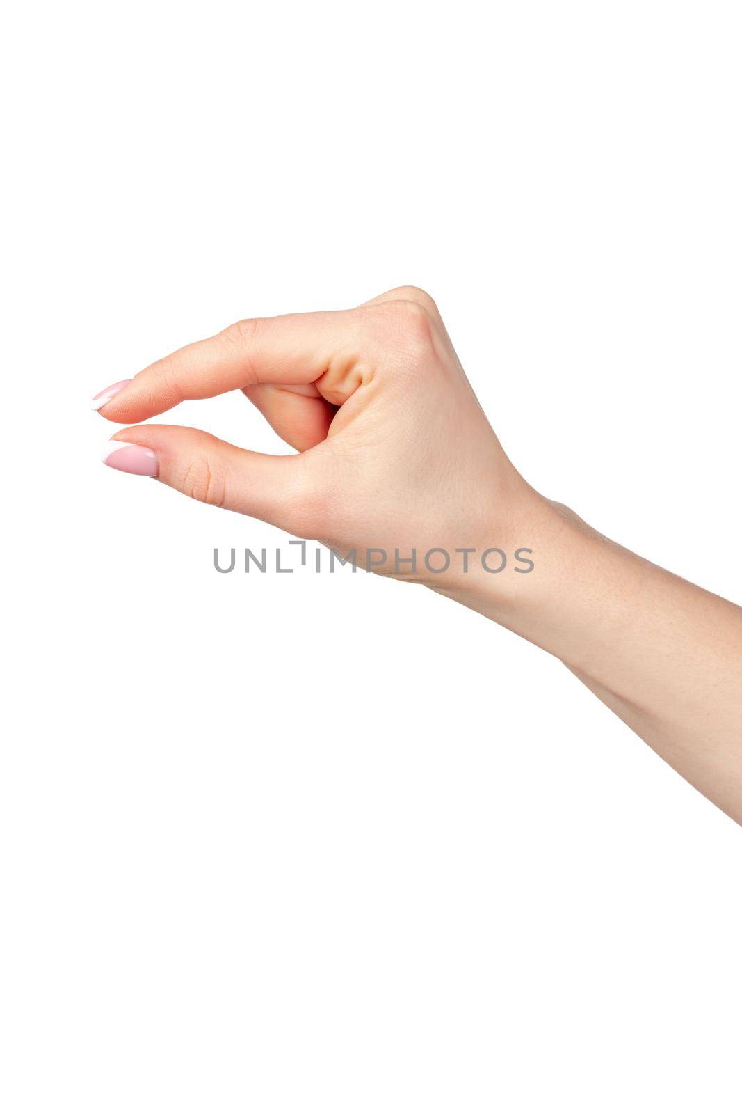 Female hand holding something isolated on white background, copy space