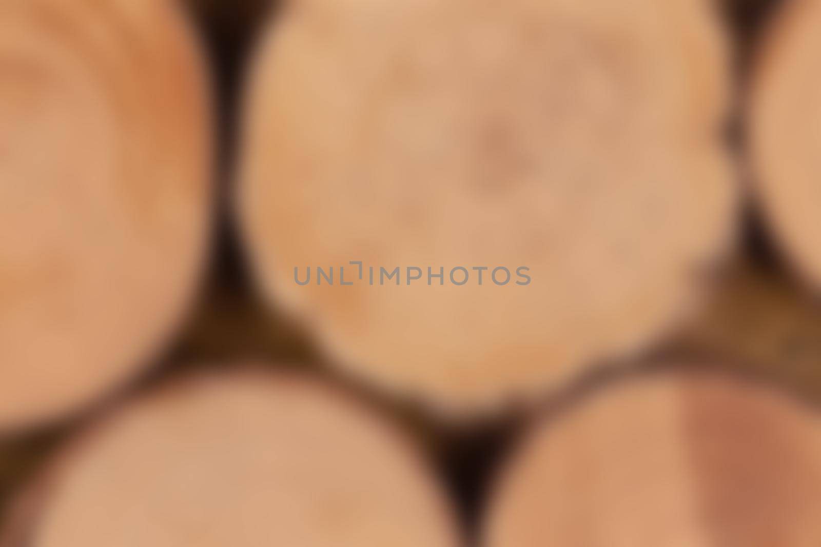 Blurred Logs wood cut section decorationtexture background