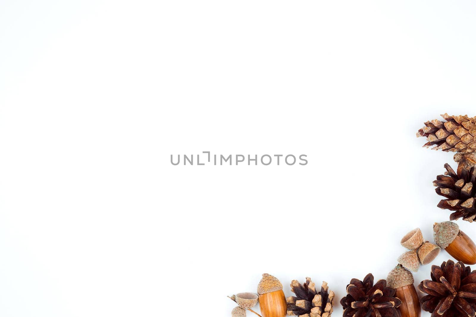 Autumn composition, frame made of pine cones, acorns and chestnuts. Flat lay, top view