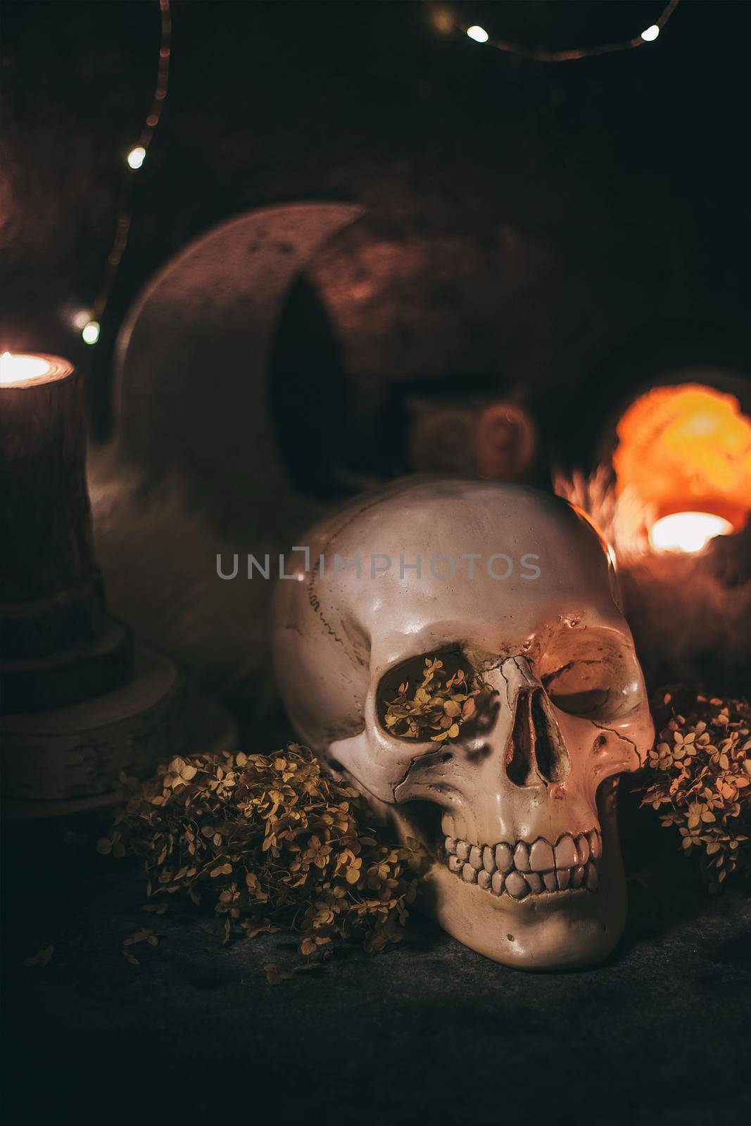 Occult mystic ritual halloween witchcraft scene - human scull, candles, dried flowers, moon and owl.