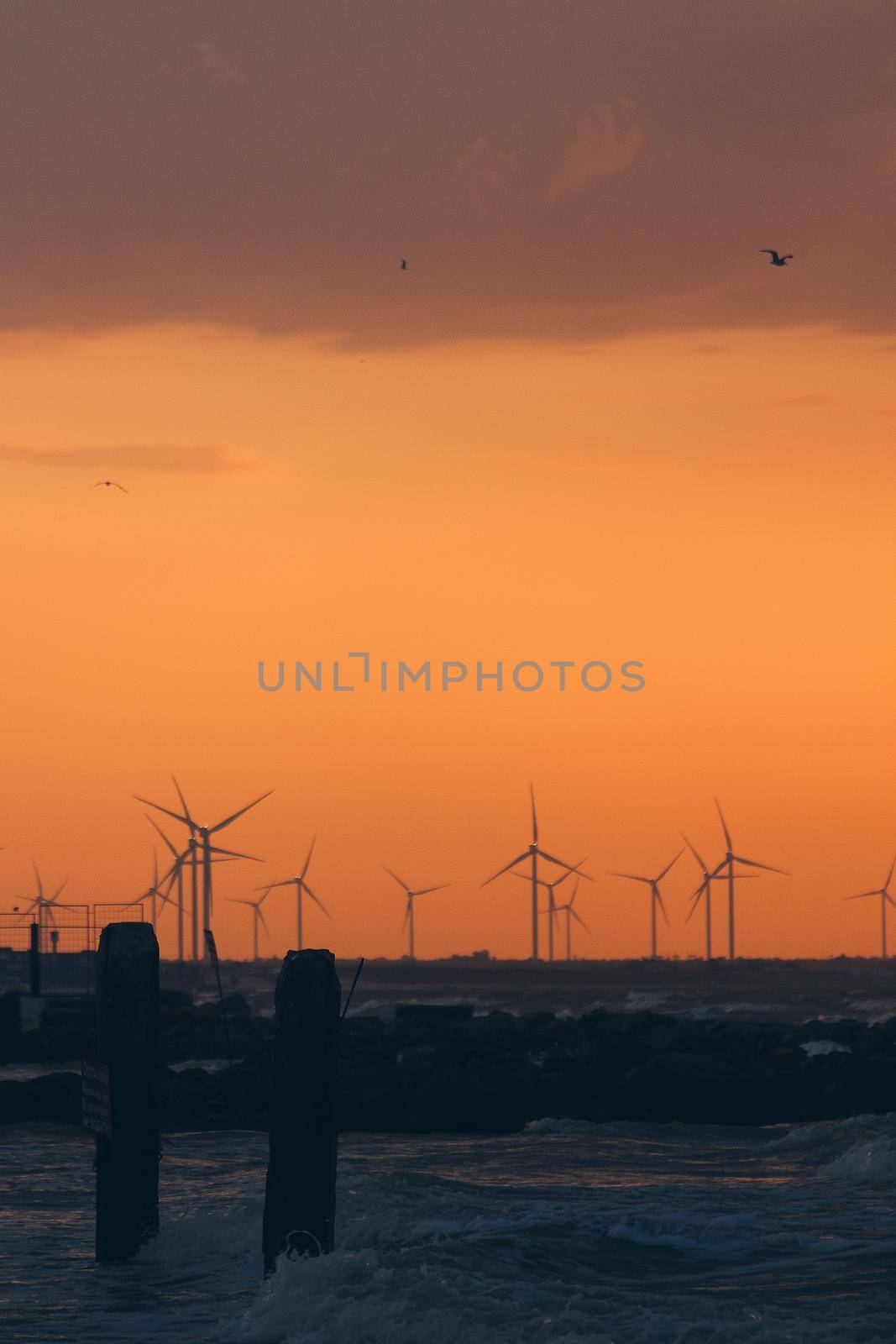 Wind turbine power generators silhouettes at ocean coastline at sunset. Alternative renewable energy production. by mmp1206