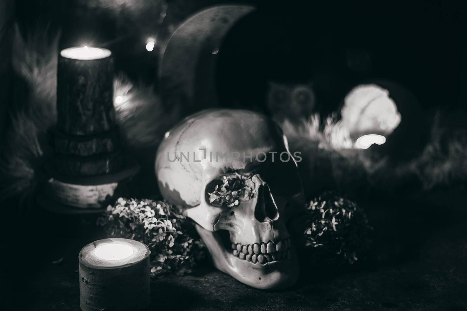 Occult mystic ritual halloween witchcraft scene - human scull, candles, dried flowers, moon and owl. Black and white photo.