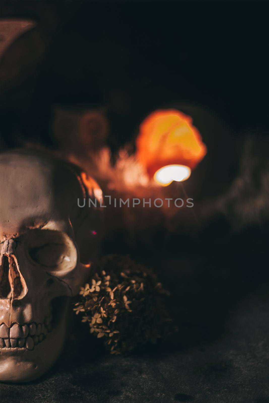 Occult mystic ritual halloween witchcraft scene - human scull, candles, dried flowers, moon and owl.