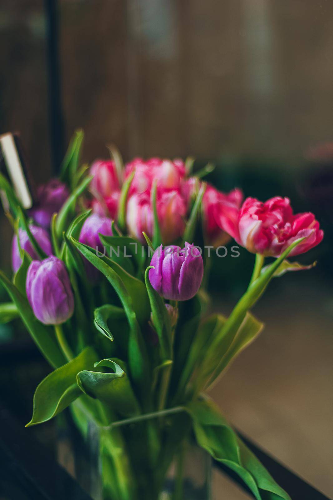 Still life with pink and purple tulips bouquet on the dark background by mmp1206