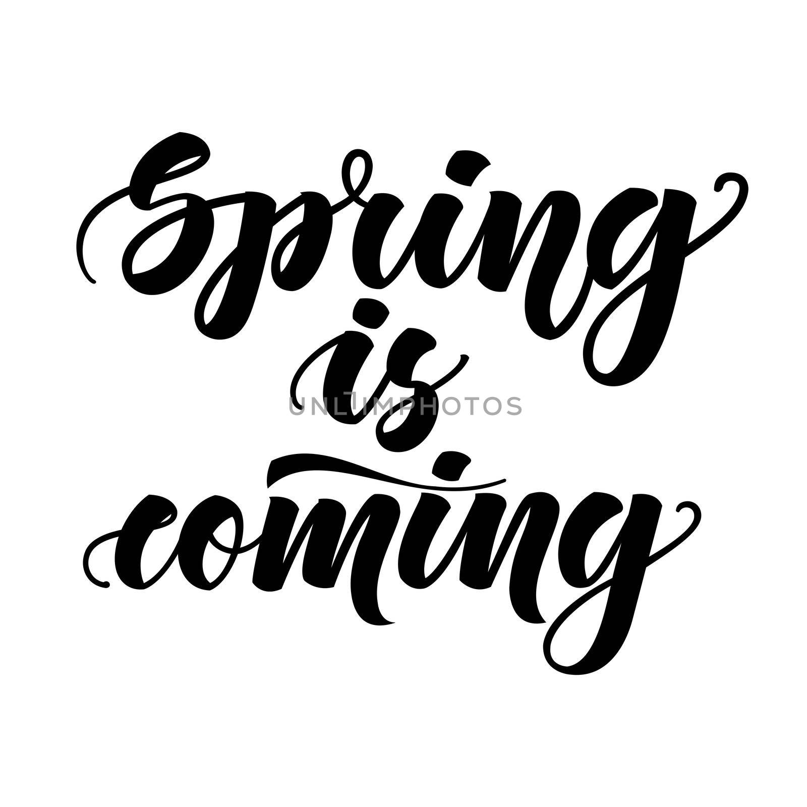 Spring is coming. Inspirational lettering isolated on white background. illustration for posters, phone wallpaper and much more by Marin4ik