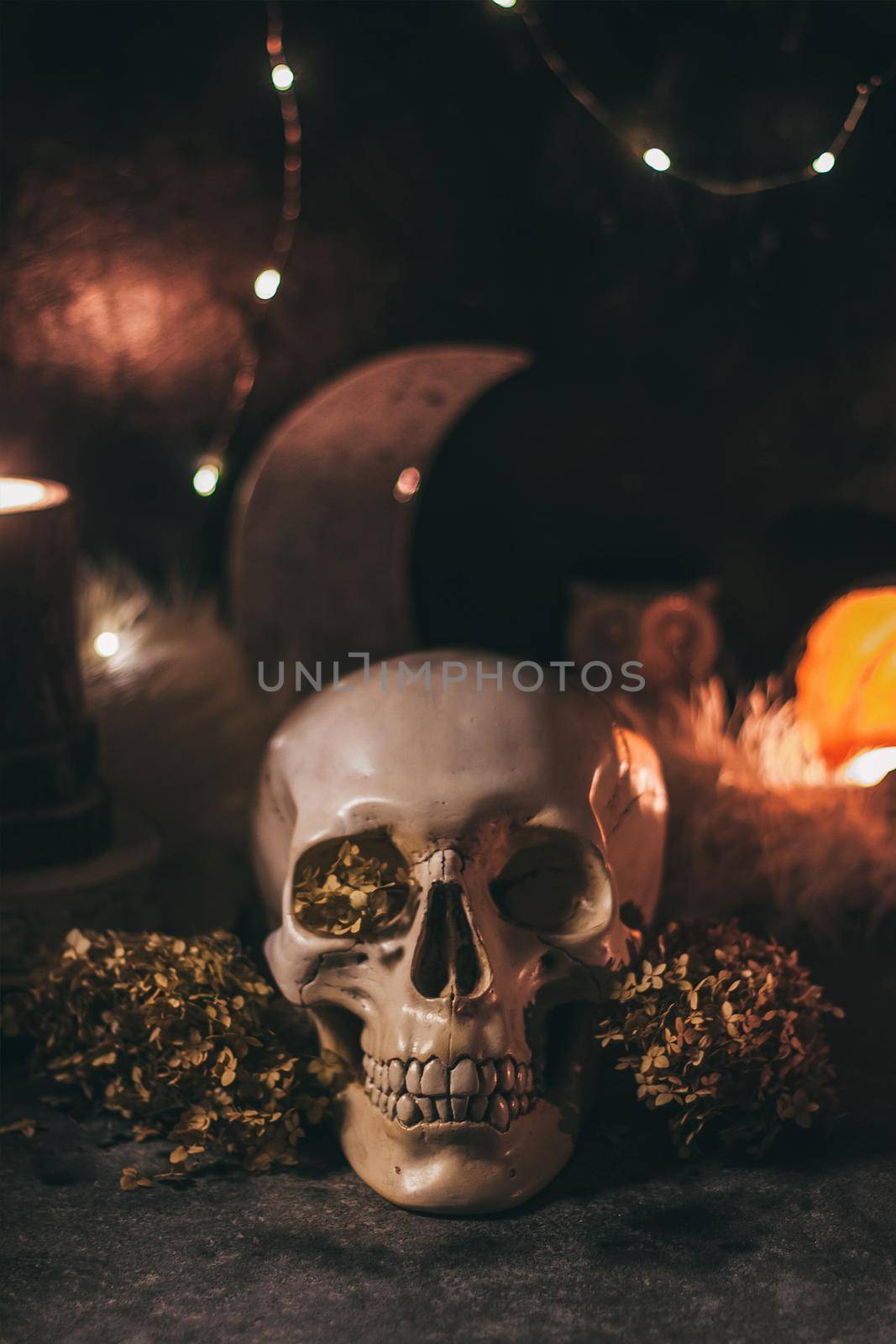 Occult mystic ritual halloween witchcraft scene - human scull, candles, dried flowers, moon and owl by mmp1206