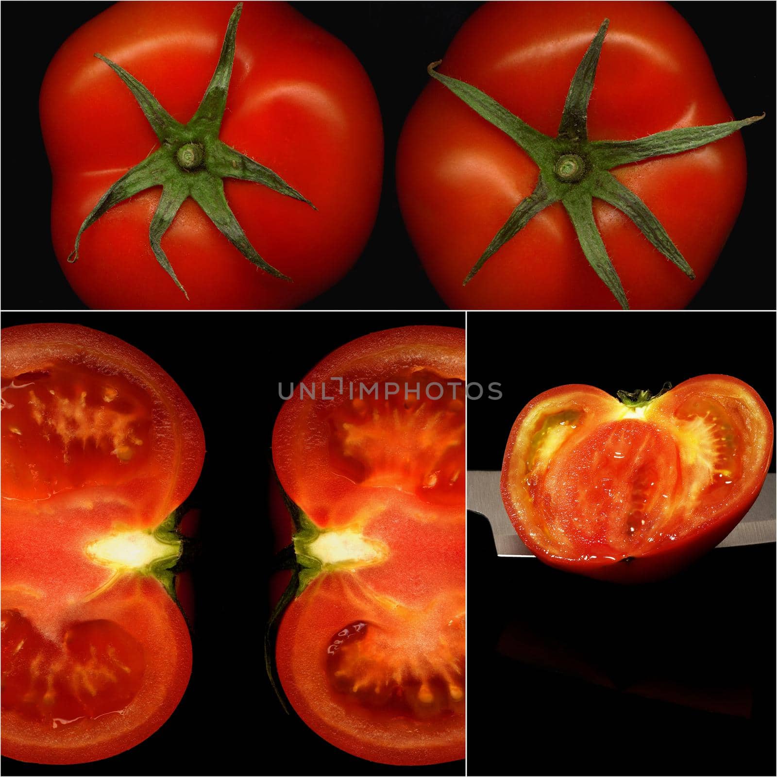 tomatoes collage by keko64
