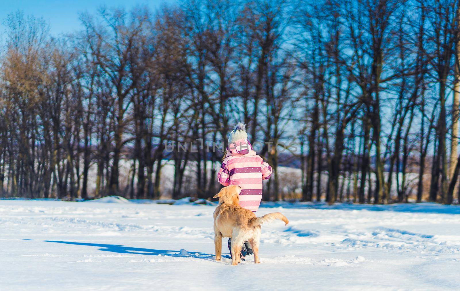 Back view of playful dog and lovely girl outside in winter